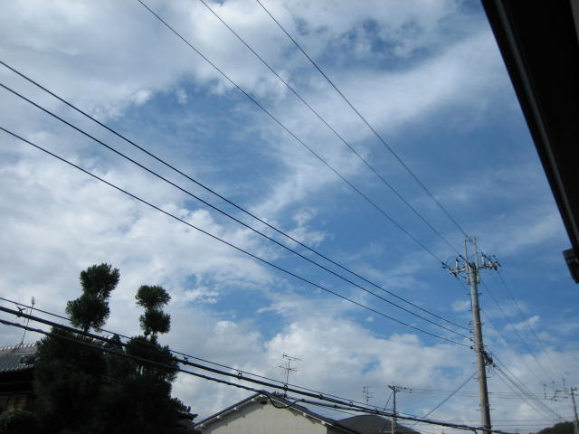 e0051194_1283669.jpg