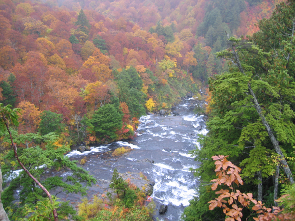 e0017298_22555098.jpg