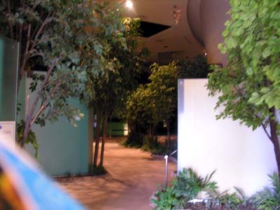 c0059521_20492417.jpg