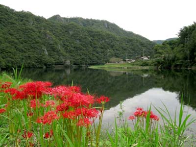 d0029829_945589.jpg