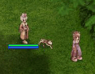 e0072542_19253017.gif