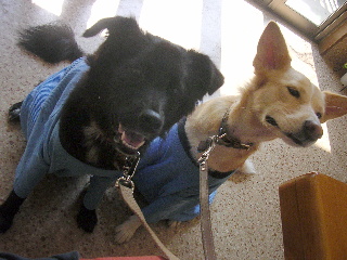 c0065643_2040156.jpg