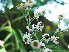 b0053765_15324935.jpg