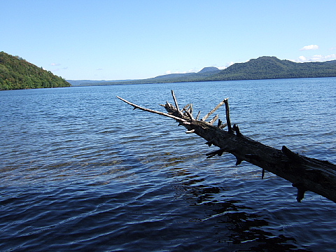 b0053765_15354423.jpg