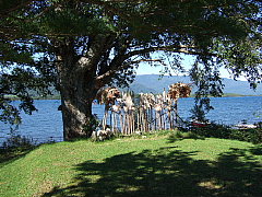 b0053765_159982.jpg