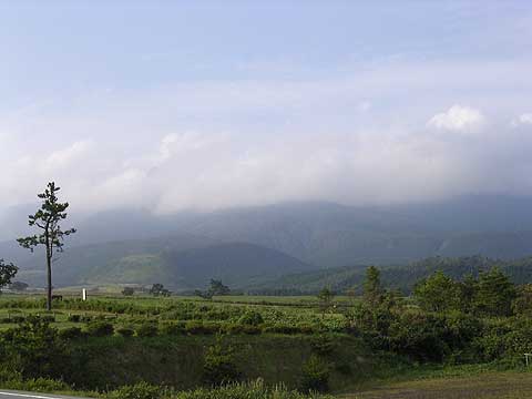 d0019169_11234146.jpg