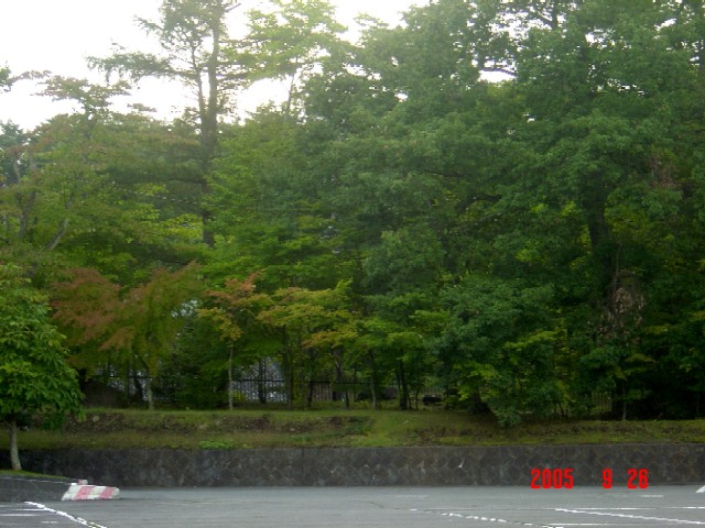 a0005691_21161188.jpg