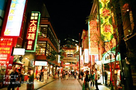 c0050400_23372948.jpg