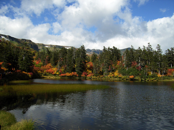 e0025030_15225934.jpg