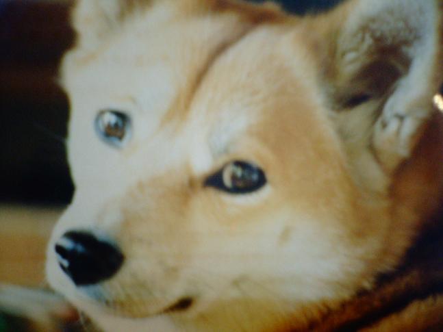 c0015041_421663.jpg