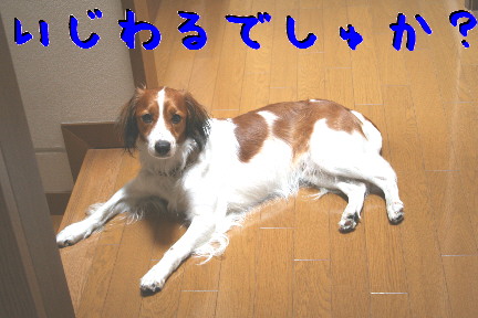 d0013149_0533084.jpg