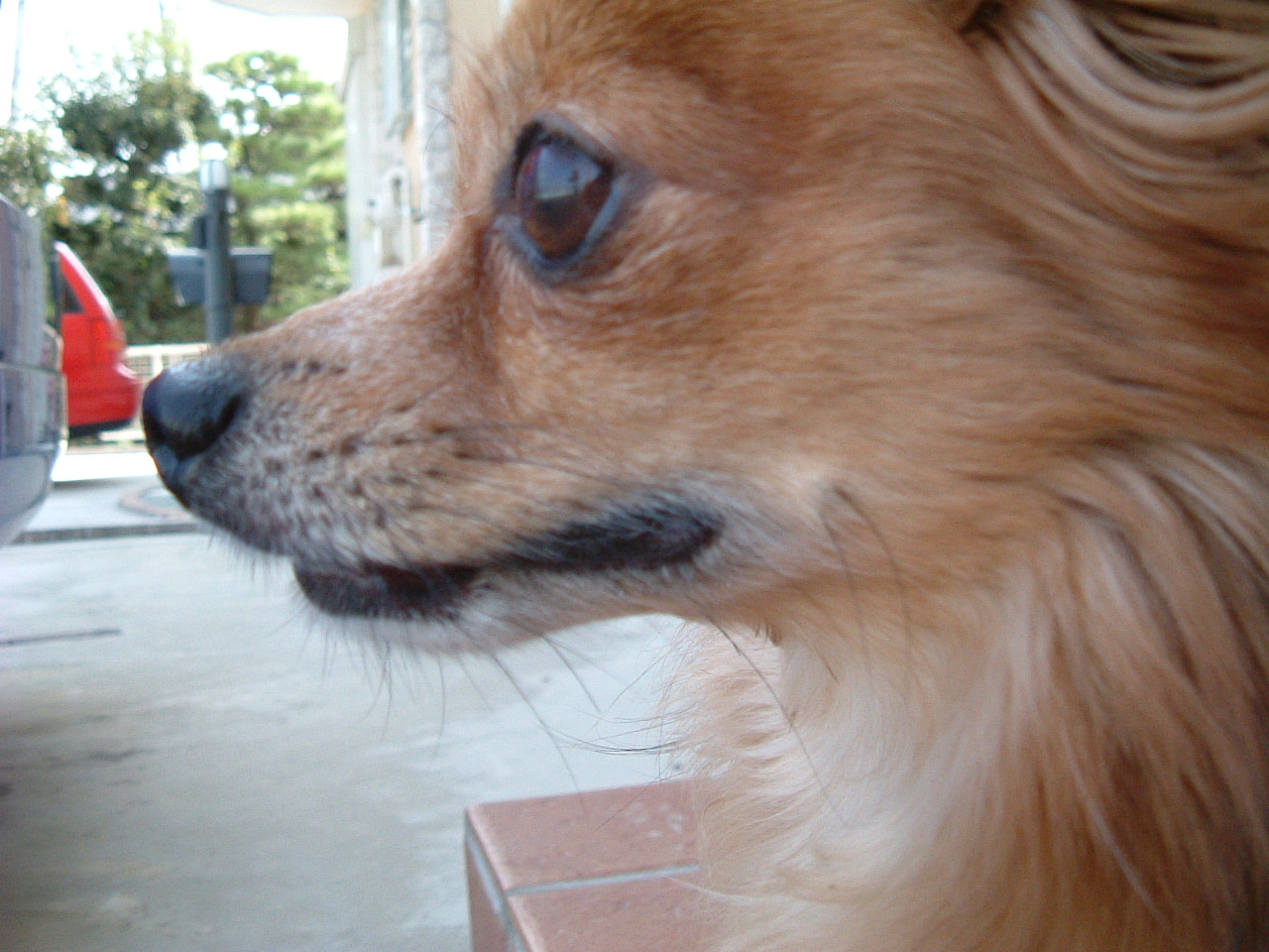 e0023751_20394727.jpg