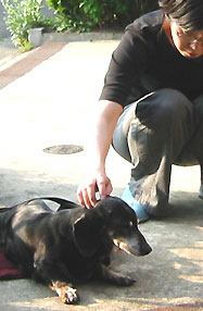 c0003752_12114322.jpg