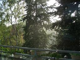 e0005868_2312519.jpg