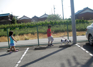e0031573_1461814.jpg