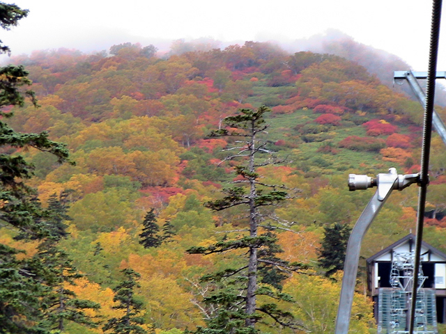 c0016987_13292290.jpg