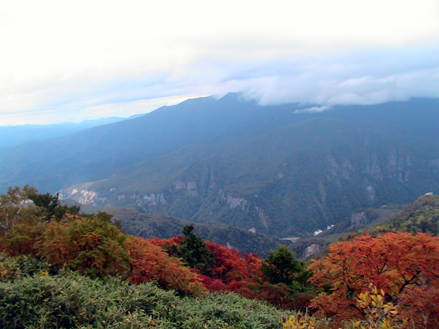 c0016987_13344230.jpg