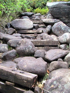 c0016987_13592622.jpg