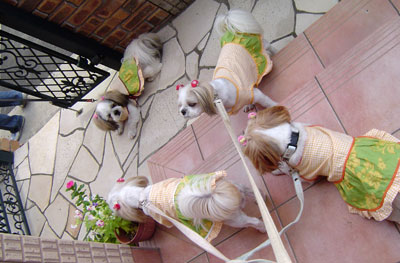 c0011204_21511248.jpg