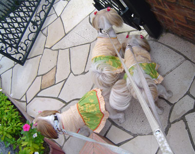 c0011204_2153979.jpg