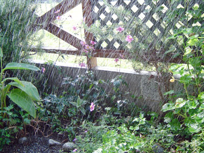 c0011204_2156757.jpg