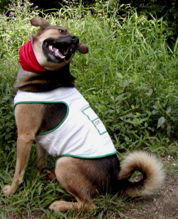 d0062009_7415851.jpg