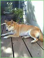 c0060620_016592.jpg