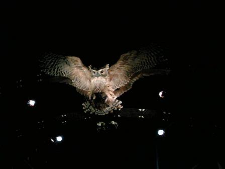 c0023322_15492325.jpg