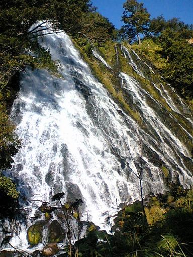 c0023322_1549928.jpg