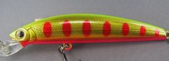 e0086526_1057655.jpg