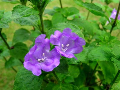 d0029829_22131537.jpg