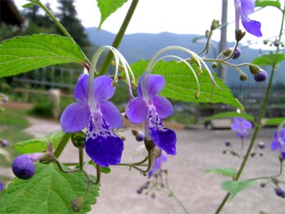 d0029829_23231410.jpg
