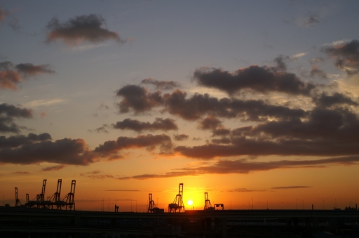 b0031237_22242914.jpg