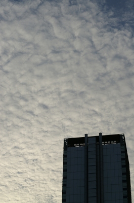 b0031237_22244360.jpg