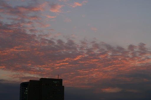 b0031237_22245665.jpg