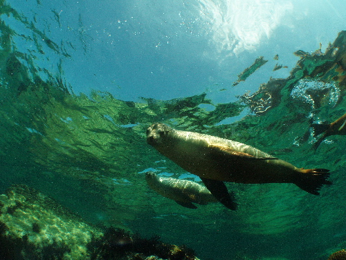 d0021952_5362714.jpg