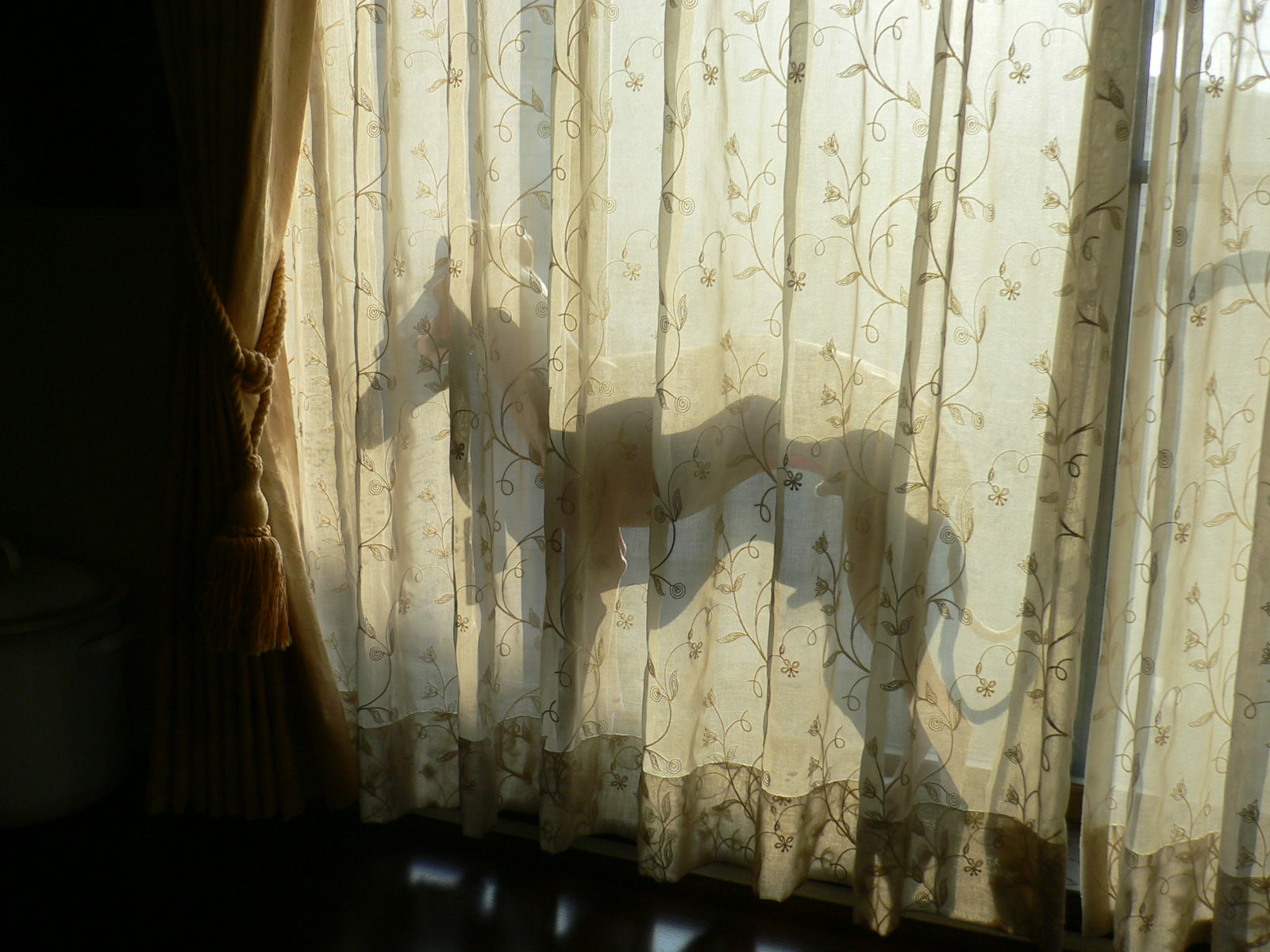 e0062371_2057115.jpg