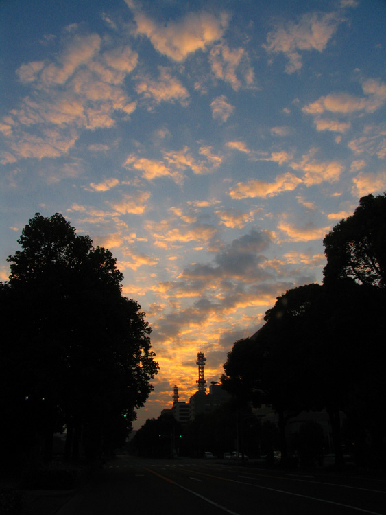 c0030874_6535123.jpg