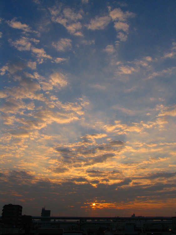 c0030874_6535958.jpg