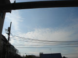 e0033384_1619435.jpg