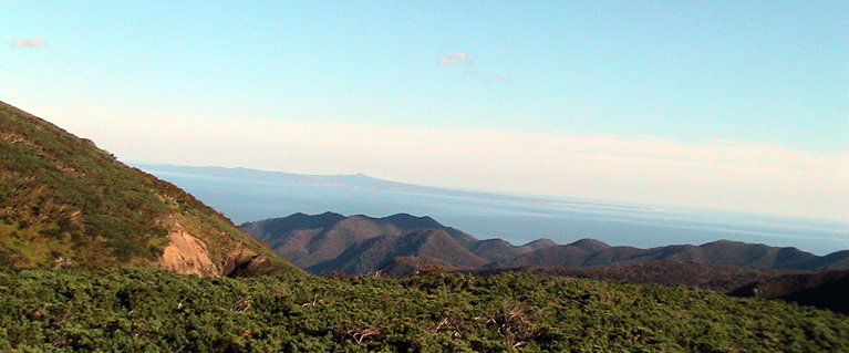 c0016987_1046167.jpg