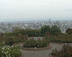 c0068693_2142922.jpg