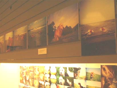 c0068693_2182840.jpg