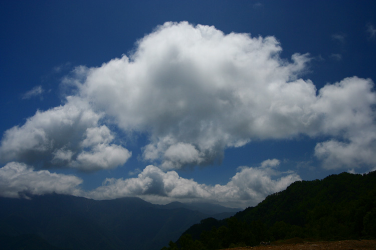 c0032494_77756.jpg