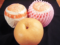c0039501_2132912.jpg