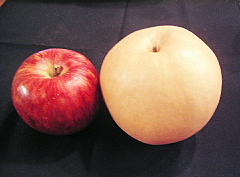 c0039501_2135127.jpg