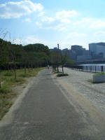 d0064815_1342849.jpg