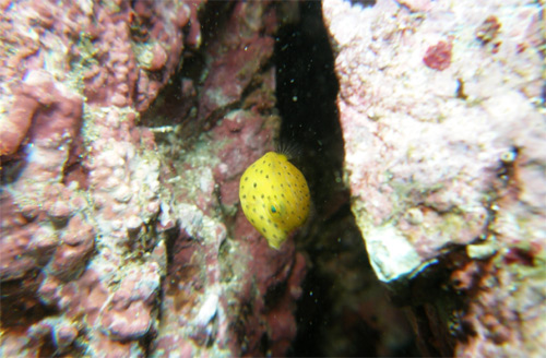 c0024719_2310345.jpg