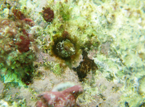 c0024719_23144940.jpg