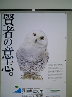 e0016828_921034.jpg